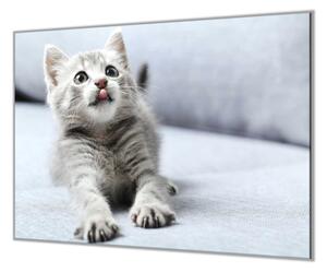 Ochranná deska skleněná roztomilé kotě - 40x40cm / Bez lepení na zeď