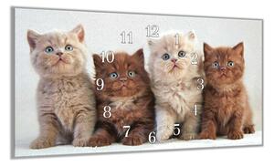 Nástěnné hodiny 30x60cm koťata britské kočky - plexi