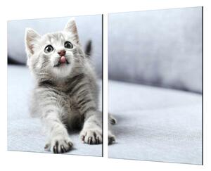 Ochranná deska skleněná roztomilé kotě - 70x70cm / S lepením na zeď