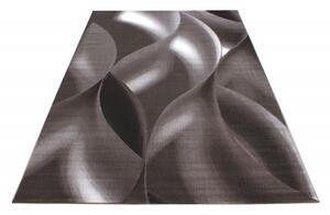 Moderní kusový koberec Plus 8008 Brown | hnědý Typ: 200x290 cm