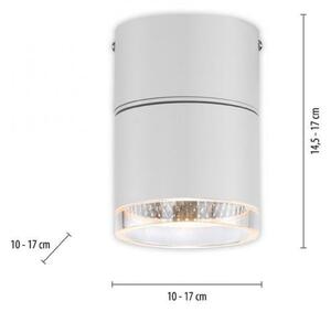 PAUL NEUHAUS LED stropní bodové svítidlo PURE-NOLA bílé 1 ramenné otočné stmívatelné krokově stmívatelné 3000K PN 6861-16