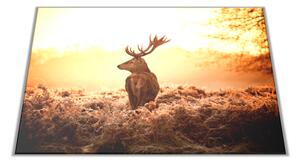 Skleněné prkénko jelen v září slunce - 30x20cm