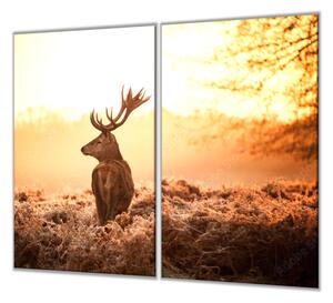 Ochranná deska jelen v září slunce - 52x60cm / S lepením na zeď