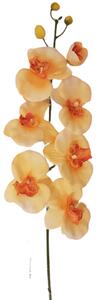 Umělá orchidea kusová 70cm peach