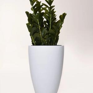 Vivanno květináč OPALA, sklolaminát, výška 55 cm, bílý