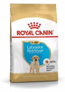 ROYAL CANIN SHN Breed Labrador Junior suché krmivo pro psy - 12 kg