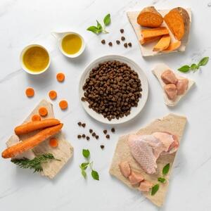 VEE VETEXPERT Raw Paleo Ultra Medium&Large Adult Turkey Mono - suché krmivo pro psy - 10 kg