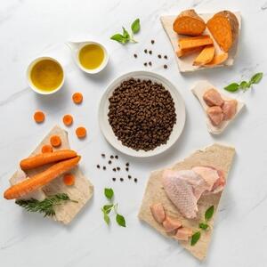 VEE VETEXPERT Raw Paleo Ultra Mini Puppy Mono Turkey - suché krmivo pro štěňata - 8 kg