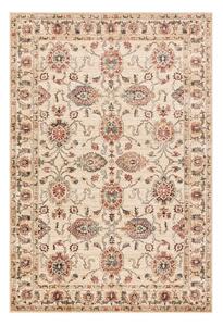 Béžový koberec 120x160 cm Raja – Asiatic Carpets