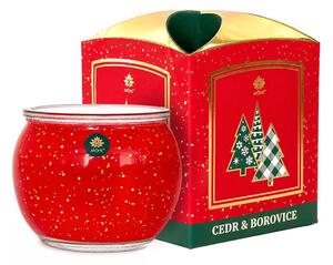 Arôme Vonná svíčka Cedar and Pine 90g