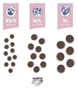BA5 BALTICA Nutraceutic Hypoallergenic Lamb & Rice L/XL - suché krmivo pro psy - 12kg