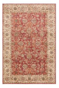 Červený koberec 120x160 cm Raja – Asiatic Carpets