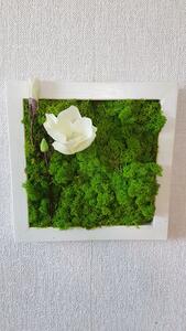 Mechový obraz v bílem rámu 33cm x 33cm