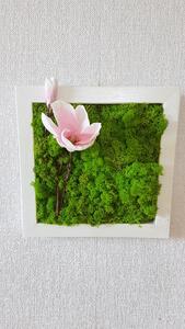Mechový obraz v bílem rámu 33cm x 33cm