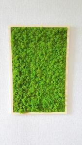 ArtTree s.r.o. Mechový obraz v dřevěném rámu 100cm x 65cm