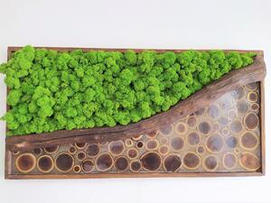 Mechový obraz s epoxidem 40cm x 80cm