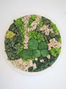 Mechový obraz kruh- průměr 70cm