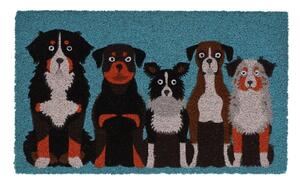 Rohožka z kokosového vlákna 45x75 cm – Esschert Design