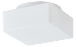 Osmont LIN41252 Lina 1, stropní/nástěnné svítidlo, 1x60W E27, opálové sklo, 20x20cm