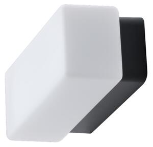 Osmont FLO67775 Flora 1, nástěnné/stropní svítidlo v obdélníkovém tvaru, LED 8W 4000K, délka 22,5cm, černá