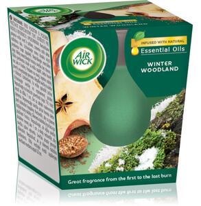 Air Wick Essential Oils Zimní les vonná svíčka 105 g