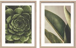 Tištěné obrazy v sadě 2 ks s rámem 30x40 cm Beauty Green – Styler
