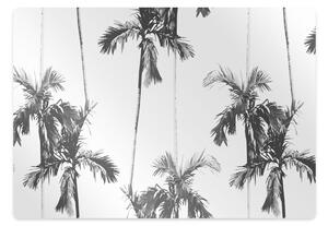 Ochranná podložka pod židli Black and white palm