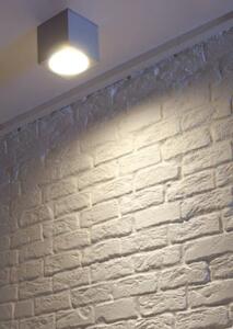SLV 229555 Theo Ceiling, stropní venkovní svítidlo, 1x75W GU10 ES111, antracit, výška 15cm, IP44