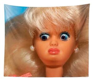 Sablio Deka WTF Barbie - Meme Barbie - 150x120 cm