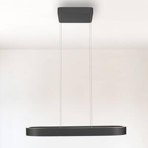 Paul Neuhaus LED závěsné světlo Q-Stretto, černé, 86,8 cm, stmívatelný, Černá, Obývací pokoj / jídelna, kov, Moderní