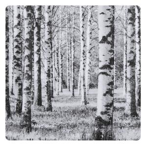 Miiko Design Podtácek Birch Forest 10x10cm