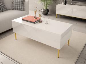 Konferenční stolek Madrielle 120, Barva dřeva: bílá/bílý lesk Mirjan24 5903211164668