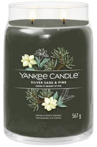 Velká vonná svíčka Yankee Candle Silver Sage & Pine Signature