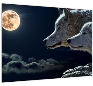 Obraz vlků vyjících na měsíc (70x50 cm)
