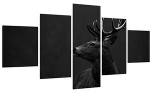 Obraz - Portrét jelena (125x70 cm)