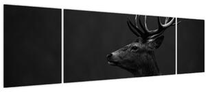 Obraz - Portrét jelena (170x50 cm)