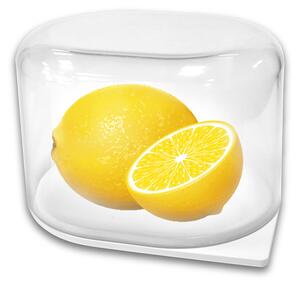 ALTOM Krabička, dóza na citrón, plast CITRON