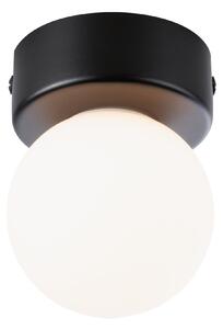 Paulmann 71068 Gove, koupelnové stropní svítidlo 1xG9 max. 20W, černá, průměr 8cm, IP44