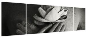 Obraz - Lotos v rukou Buddhy (170x50 cm)