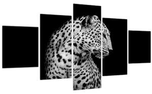 Obraz - Leopard (125x70 cm)