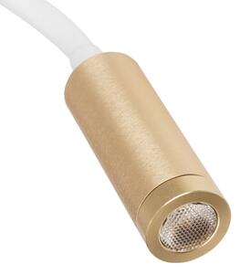 Kanlux 32518 - LED Flexibilní lampička TONIL LED/3,3W/230V bílá/zlatá