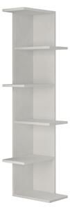 Knihovna Saso White