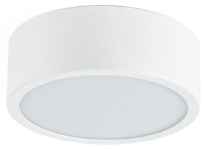 Linea Light 8238N Box_SR, bílé stropní svítidlo, 17W LED 4000K, prům. 24cm