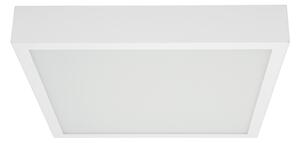 Linea Light 8231 Box_SQ, bílé stropní svítidlo 30W LED 3000K, 41x41cm