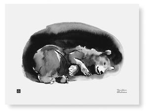 Teemu Järvi Plakát Hibernation 40x30
