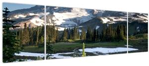 Obraz - Mount Rainier (170x50 cm)