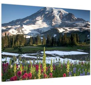 Obraz - Mount Rainier (70x50 cm)