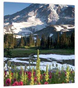 Obraz - Mount Rainier (30x30 cm)