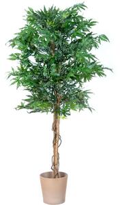 PLANTASIA 1401 Umělá rostlina strom - konopí - 150 cm