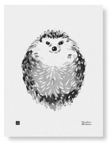 Plakát Hedgehog 30x40 cm Teemu Järvi Illustrations